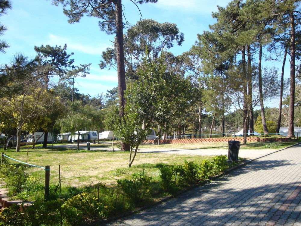 Parque De Campismo Orbitur Caminha Hotel Екстериор снимка