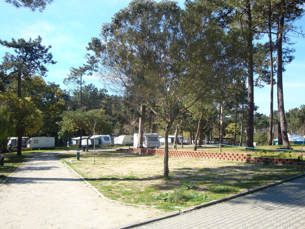 Parque De Campismo Orbitur Caminha Hotel Екстериор снимка